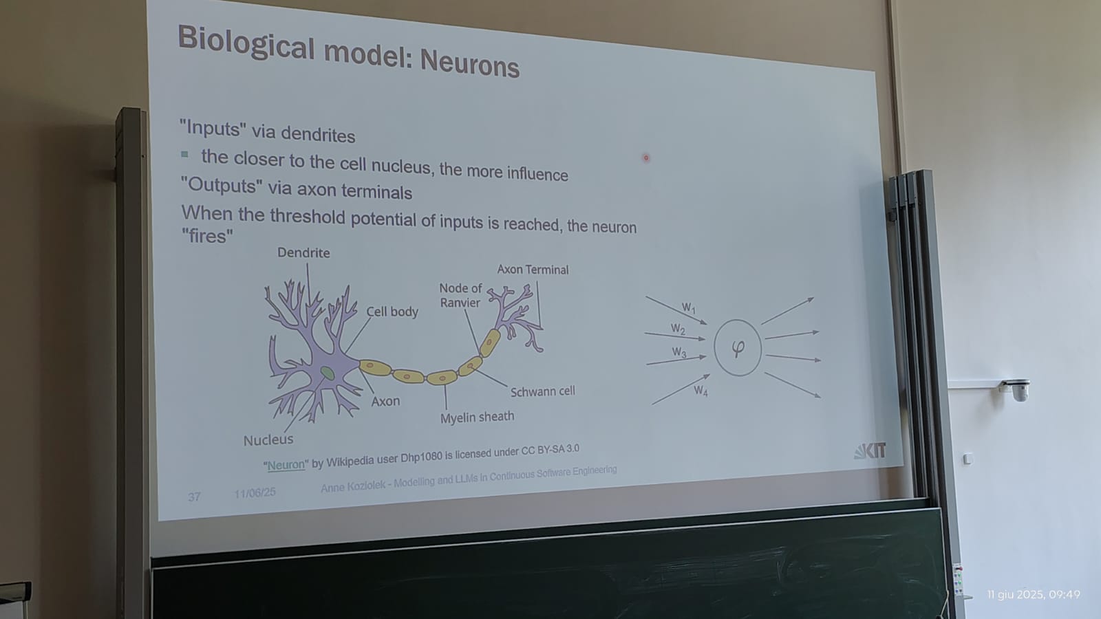 Immagine WhatsApp 2025-06-11 ore 10.16.58_30187baa.jpg